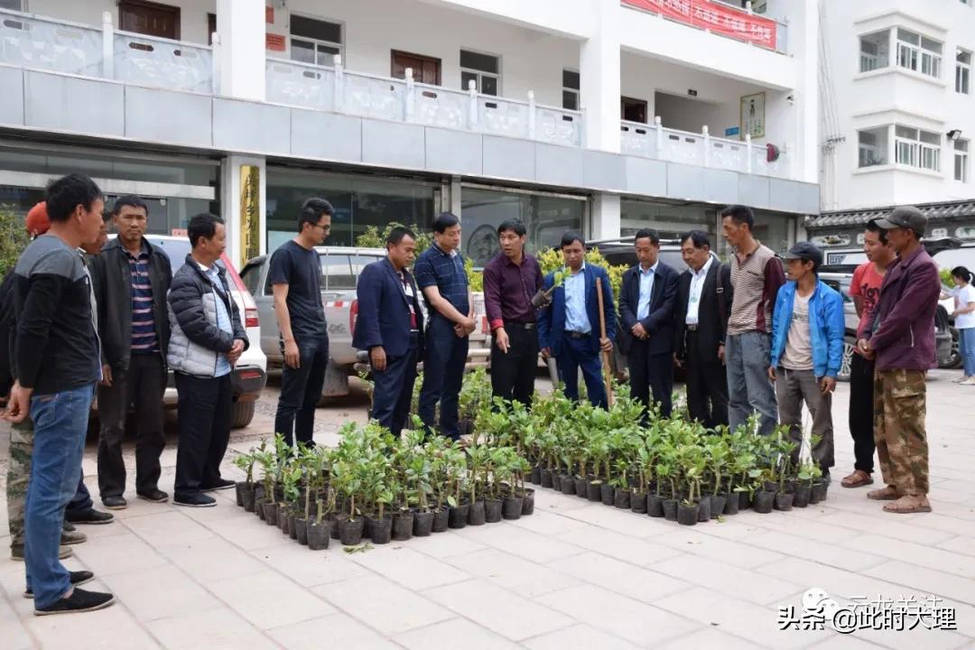 搜365兄弟视频,解锁网络视频共享的乐趣 搜365兄弟视频,解锁网络视频共享的乐趣